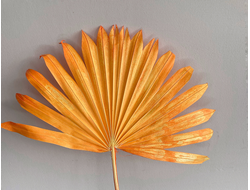 Лист пальмы оранжевый
