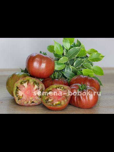 Томат Капитан Лаки (Captain Lucky), 10 шт.