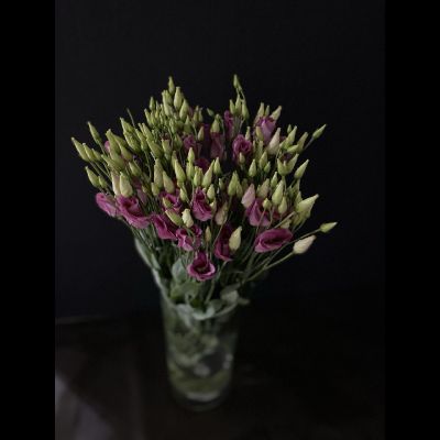 Эустома 15 шт