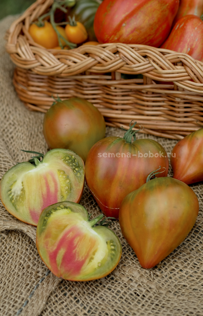 Томат Истинные цвета (True Colours), 10 шт