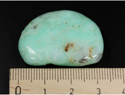 Хризопраз, полировка плоская, Австралия (33*25*7 мм, 10 г) №35681