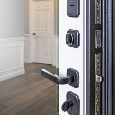 Стальная дверь   Dominica с зеркалом. Заказная модель.