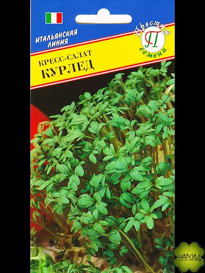 КРЕСС-САЛАТ "КУРЛЕД"