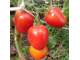 Томат Кечкемети