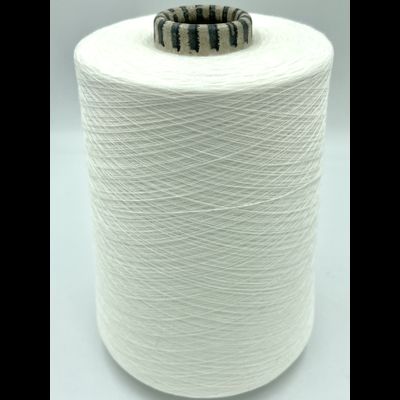 EMILCOTONI SPA art. CASHCOTTON Nm. 2/60 ХЛОПОК 85%, КАШЕМИР 15%  3000 метров в 100 граммах, цв. 01 БЕЛЫЙ