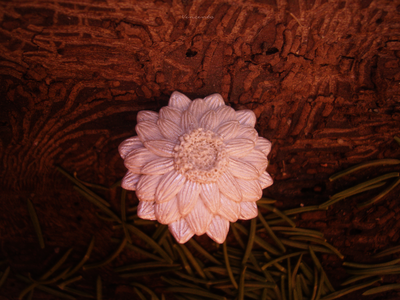 Перламутровое кольцо "Рассветный Цветок"