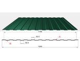 Профнастил зеленый оцинкованный RAL 6005 С 8