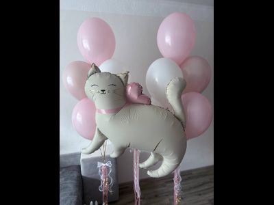Набор из шаров "котенок"