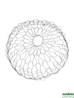 Сетка для комов деревьев