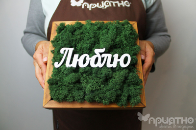 ЖИВАЯ ЭКО-КАРТИНА 1060