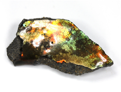 Аммолит, коллекционный образец, Канада (42*20*9 мм, 10 г) №27117