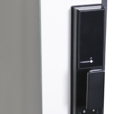 Стальная дверь   Vertu с зеркалом (биометрический замок)