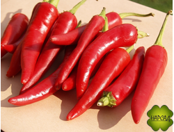 ПЕРЕЦ ОСТРЫЙТ 1 ШТ.