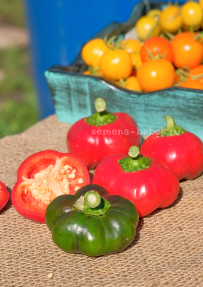 Перец сладкий Гогошар Советский, 10 шт