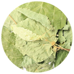 Липа цвет крупный лист 500 г