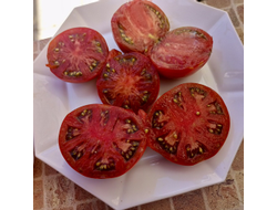 Томат Гном Махагони (Гном Красное дерево, Dwarf Mahogany)