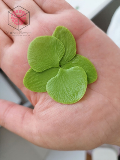 Набор вайнеров и каттеров "Орхидея Фаленопсис. Размер XS"