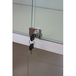 (TSV 17) Витрина пристенная со шкафчиком