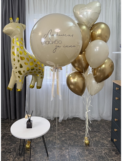 Набор шаров на выписку Маленькое Чудо