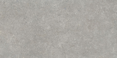 SandStone, 60х120 см, керамогранит, Серый Матовый R10A Ректификат, K948634R