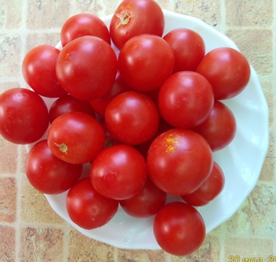 Томат Bajawa (Баджава, Индонезия)