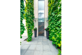 Стеклянный козырек на каркасе