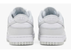Nike SB Dunk Low Photon Dust Арт 21
