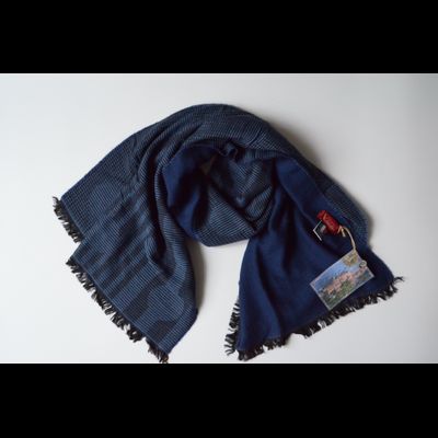 Шарф Vizio 6207 SS синий