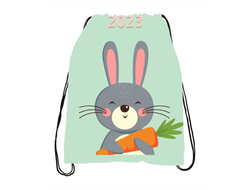 Сумка-мешок для обуви год Кролика №3