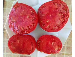 Томат Красный гигант банат (Red giant banat)