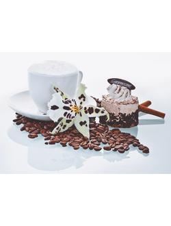 Фотообои Симфония "Капучино"