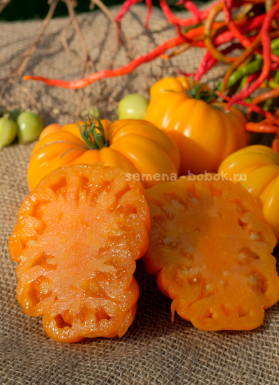 Томат Oro Giant (ОРО Гигант), 10 шт