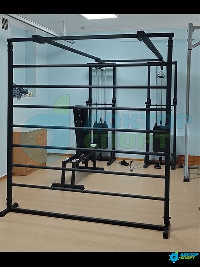 "Биотонус-2" 75/100 кг со шведской стенкой