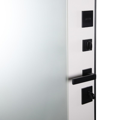 Стальная дверь   Фаворит с матовым зеркалом. Заказная модель.