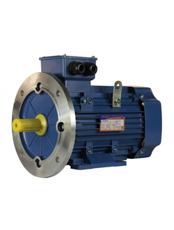 Электродвигатель 5АИ 100S2 (4 кВт) IM 2081