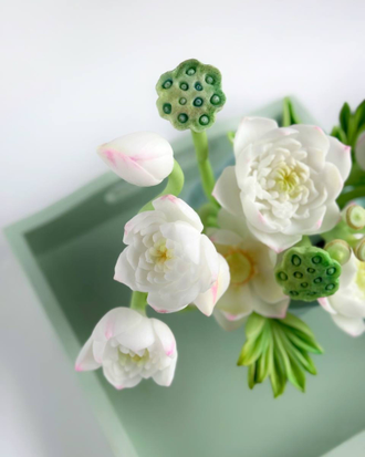 Коробочка лотоса