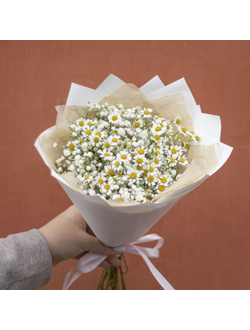 Букет из гипсофилы и ромашек