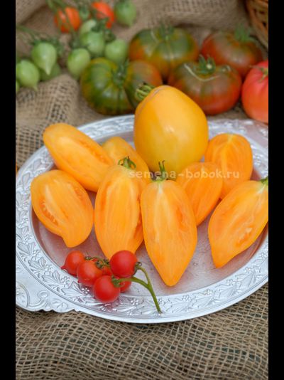 Томат Orange Walk (Оранжевая Прогулка), 10 шт