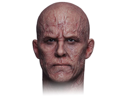 Скульпт (голова) Дэдпул без маски ("Дэдпул и Росомаха") - 1/6 The Bald (PT-SP88) - PRESENT TOYS