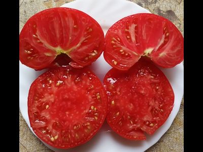 Томат Большой итальянский Миссис Максвелл (Mrs Maxwell’s Big Italian)