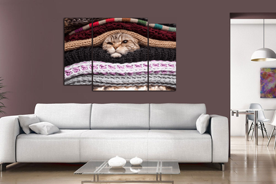 Модульная картина "Кот в тепле"