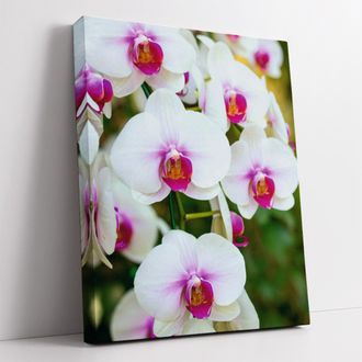 Печатная картина на деревянном подрамнике, "Орхидеи"
