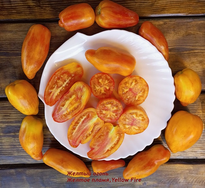 Томат Желтый огонь (Yellow fire, Желтое пламя)
