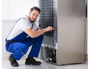 remont holodilnikov v bryanske na domu