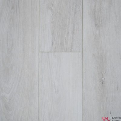 SPC ламинат Damy Floor Family Дуб Альпийский / Alpine Oak 1536-2