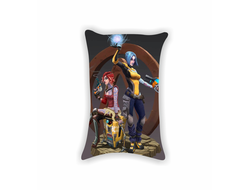 Подушки Borderlands, Бордерленд №42