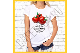 Макет  ДП № 10