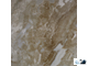Плитка напольная Евро-Керамика Гроссето темно-бежевая 40 х 40 см 0049