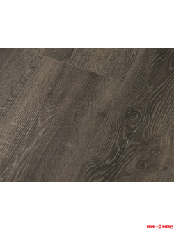 Кедр Алтайский 33 класс