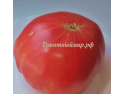 Томат Итальянское дерево (Italian Tree) Италия